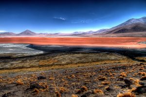 Colorada, la laguna de l'altiplano Bolivien