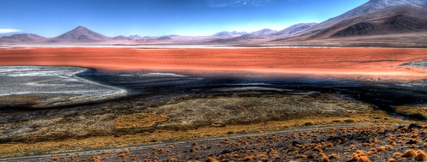 Colorada, la laguna de l'altiplano Bolivien