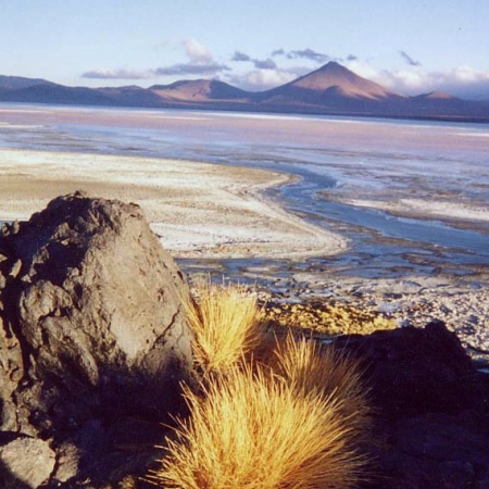 laguna Colorada, Bolivie