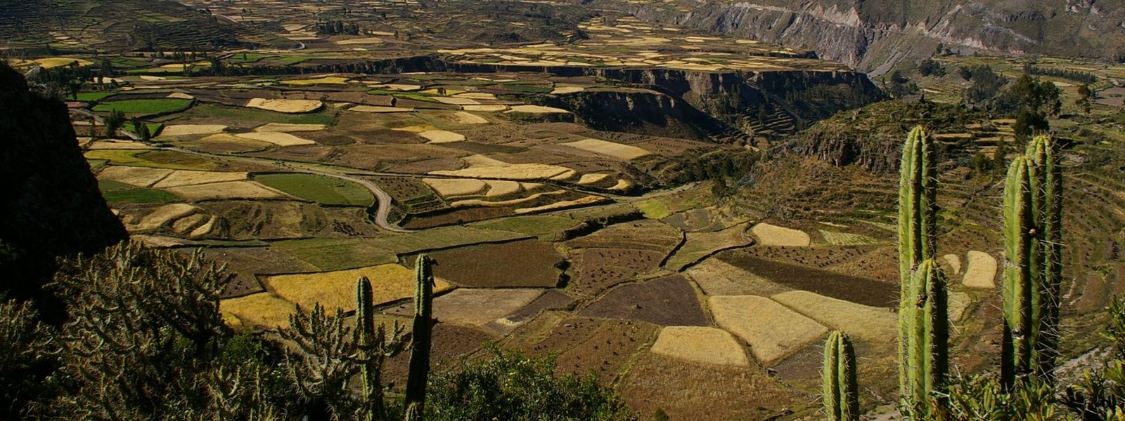 canyon du Colca, Arequipa