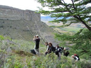 observation de condors Patagonie