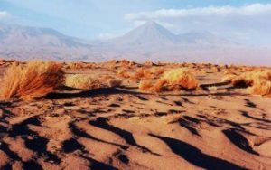 désert d'Atacama et volcan Licancabur