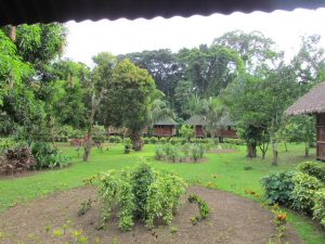 lieu de séjour Tambopata Amazonie péruvienne