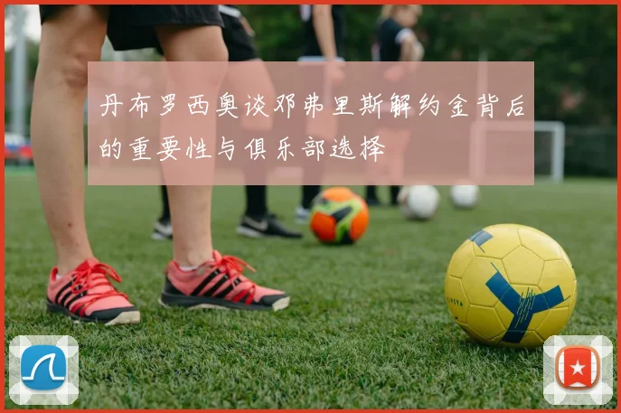 丹布罗西奥谈邓弗里斯解约金背后的重要性与俱乐部选择