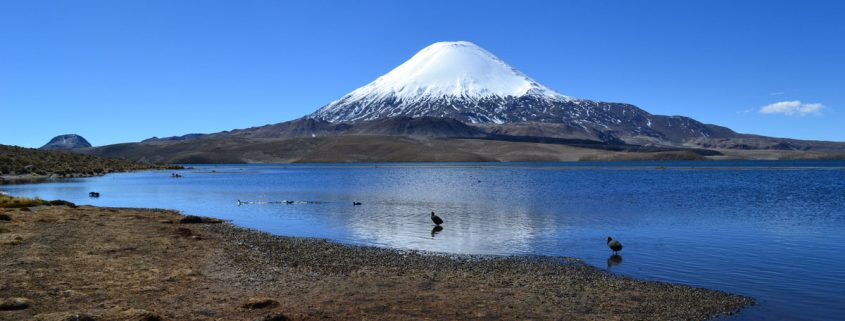 Lauca, le parc national à l'extrême Nord du Chili