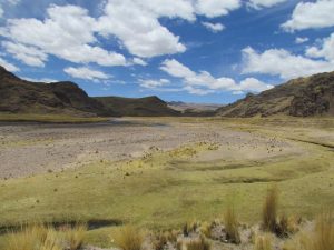 l'Altiplano