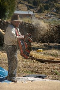 tri de la quinoa, communauté de Chinchera