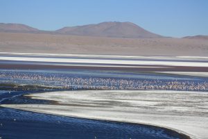 lac de l'altiplano