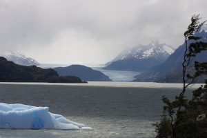 lac Grey et glacier Grey, Torres del Paine