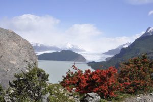 vallée du glacier Grey, Torres del Paine