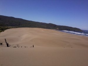 réserve costera valdiviana - sentier entre lagunes. la dune